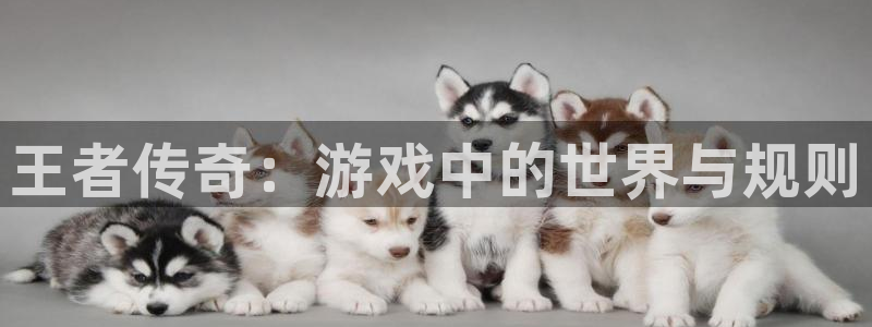 沐鸣网页版地址：王者传奇：游戏中的世界与规则