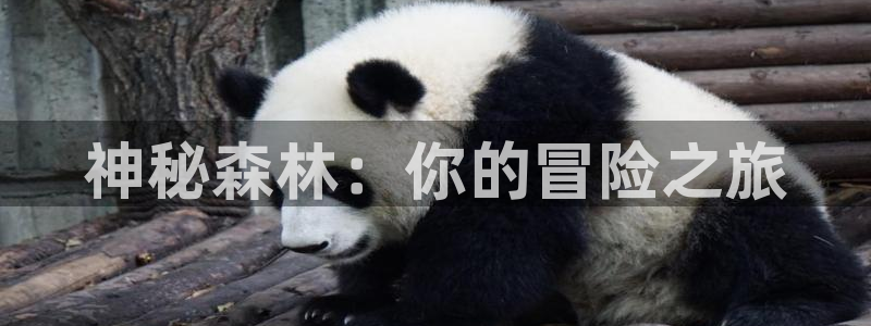 沐鸣娱乐登录地址查询