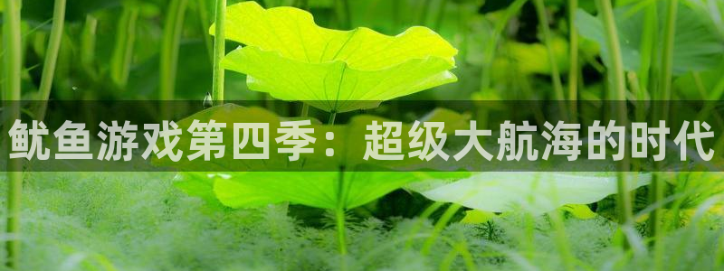 沐鸣娱乐客服：鱿鱼游戏第四季：超级大航海的时代