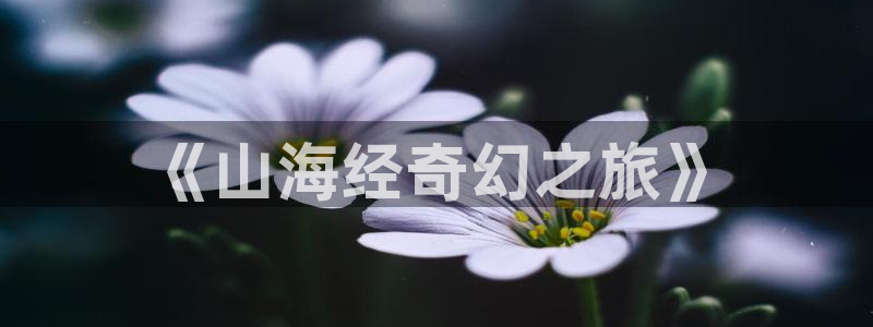 沐鸣app下载|下载地址