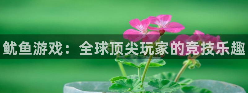 沐鸣平台登陆线路：鱿鱼游戏：全球顶尖玩家的竞技乐趣