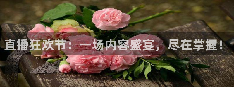 飞速nba在线直播：直播狂欢节：一场内容盛宴，尽在掌握！