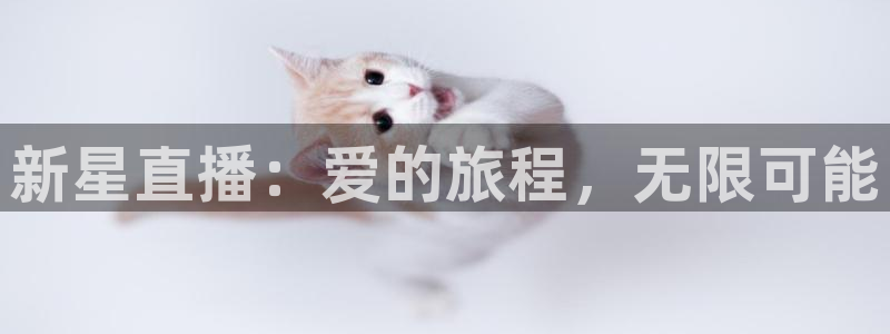 飞速直播nba免费观看：新星直播：爱的旅程，无限可能