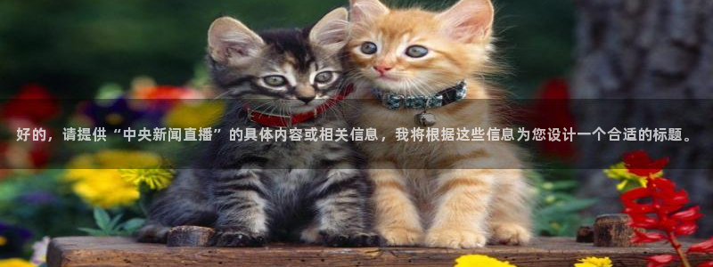 飞速 直播：好的，请提供“中央新闻直播”的具体内容或相关信息，我将根据这些信息为您设计一个合适的标题。