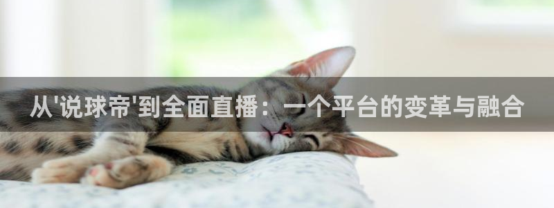 飞速nba直播在线直播：从\'说球帝\'到全面直播：一个平台的变革与融合