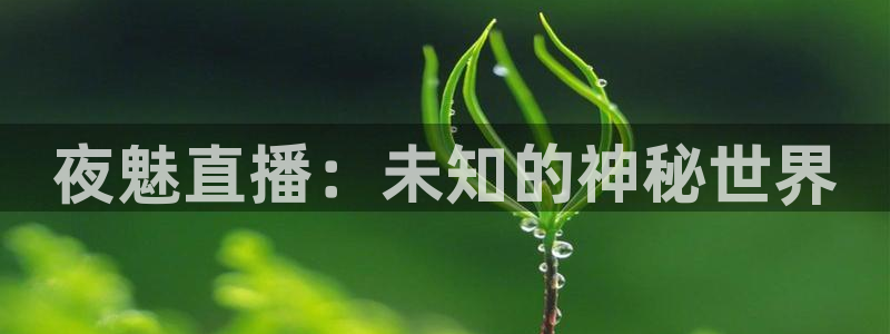nba无插件直播飞速体育直播：夜魅直播：未知的神秘世界