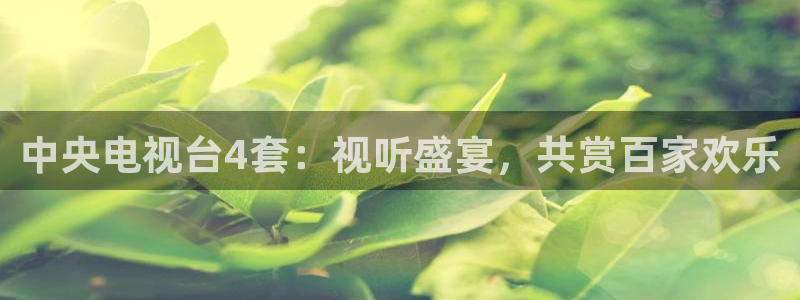 飞速体育直播在线观看cba：中央电视台4套：视听盛宴，共赏百家欢乐