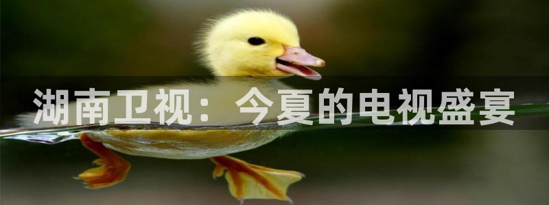 飞速nba在线直播：湖南卫视：今夏的电视盛宴