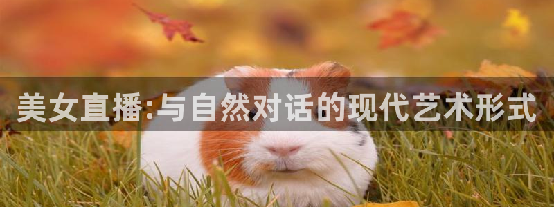 nba飞速直播无插件：美女直播:与自然对话的现代艺术形式