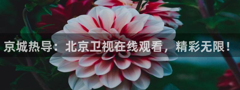 下载飞速直播nba：京城热导：北京卫视在线观看，精彩无限！
