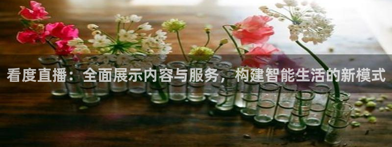 jrs飞速直播：看度直播：全面展示内容与服务，构建智能生活的新模式