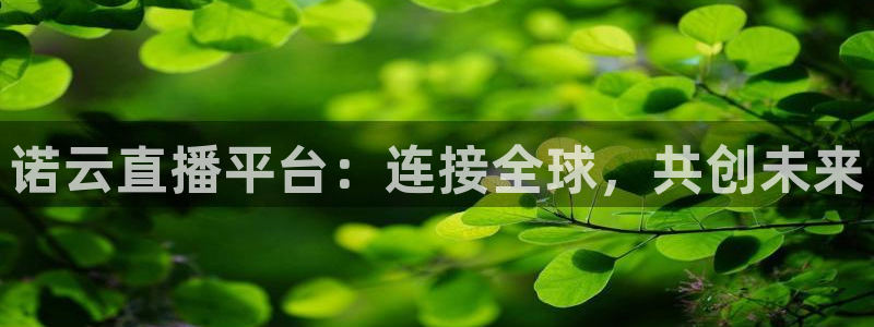 飞速体育nba：诺云直播平台：连接全球，共创未来