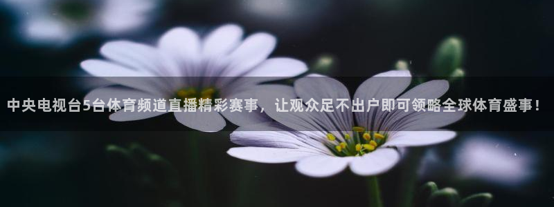 飞速体育直播：中央电视台5台体育频道直播精彩赛事，让观众足不出户即可领略全球体育盛事！